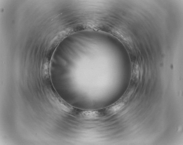 X0000088440526200705291611