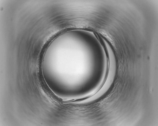 X0000088440536200705291610