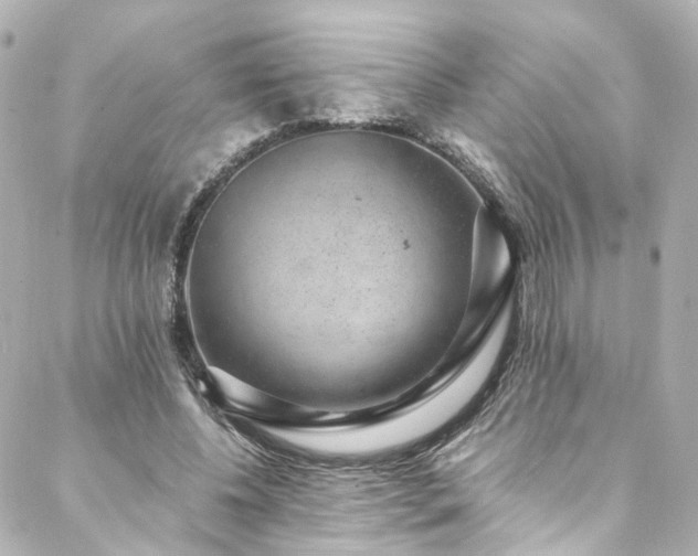 X0000088440540200705291610