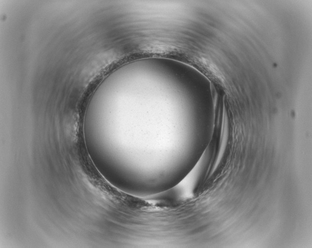 X0000088440544200705291610