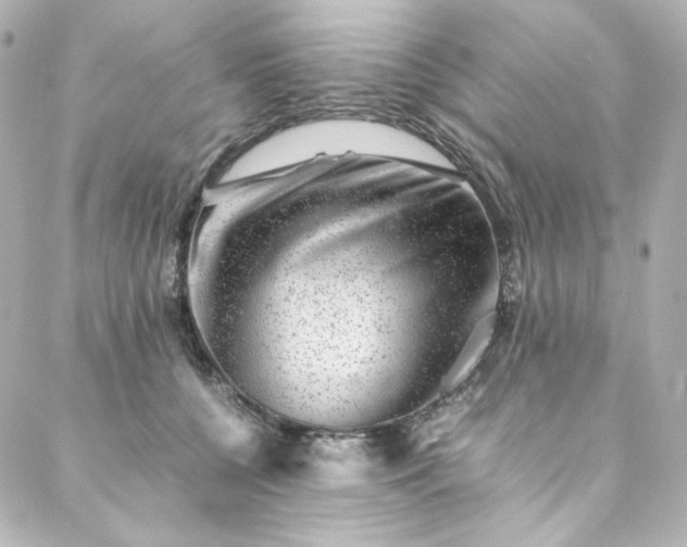 X0000088440560200705291610