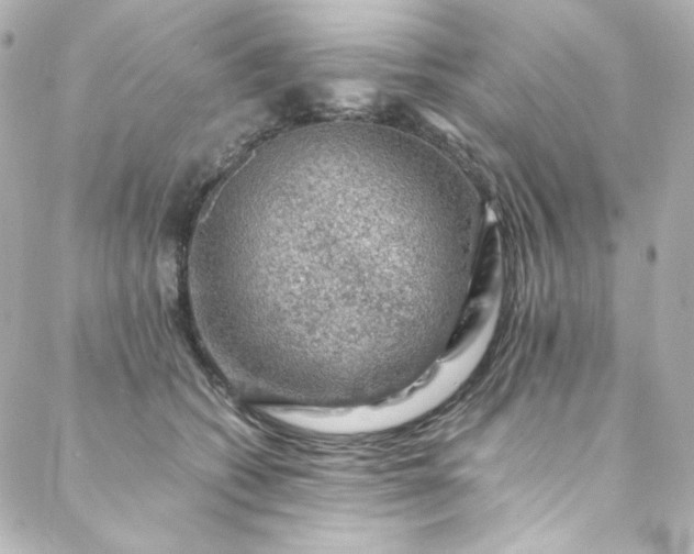 X0000088440562200705291610