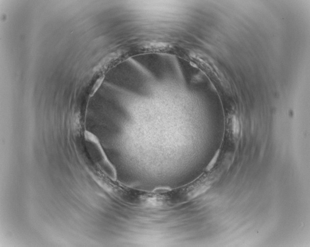 X0000088440564200705291610