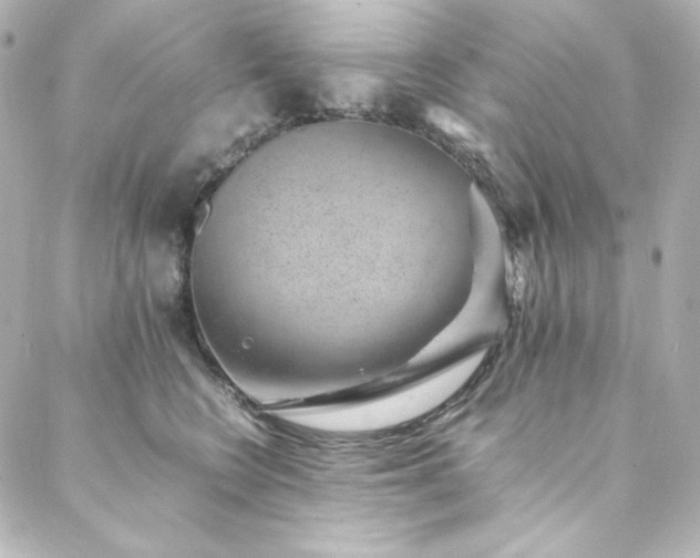 X0000088440566200705291610