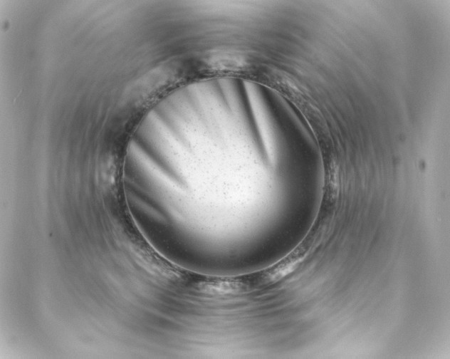 X0000088440567200705291610