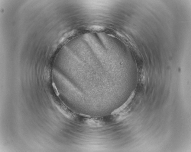 X0000088440568200705291610