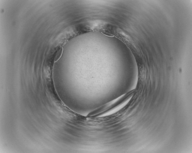 X0000088440571200705291610