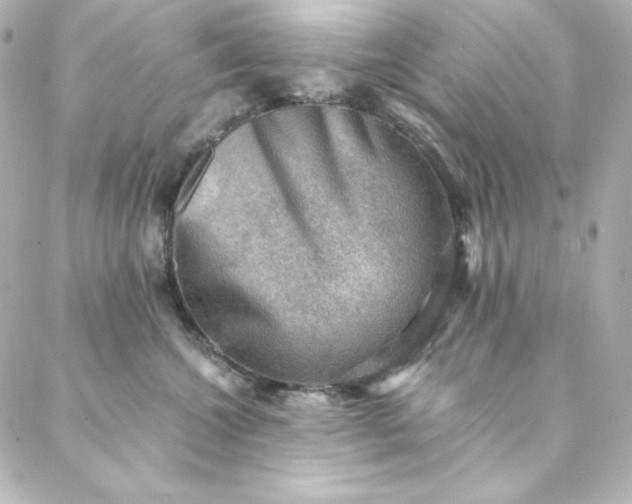 X0000088440572200705291610