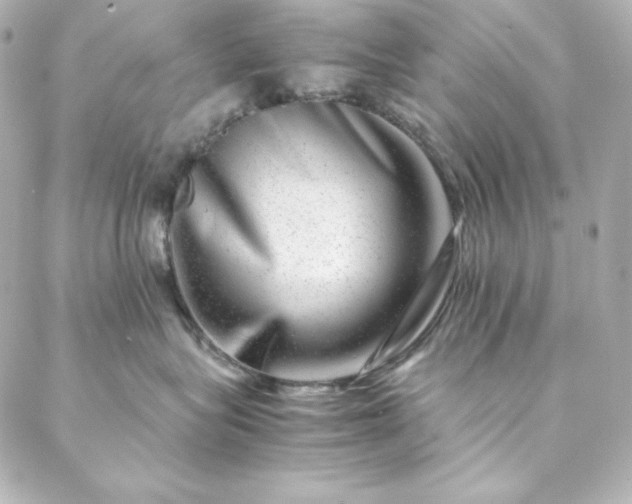 X0000088440575200705291611