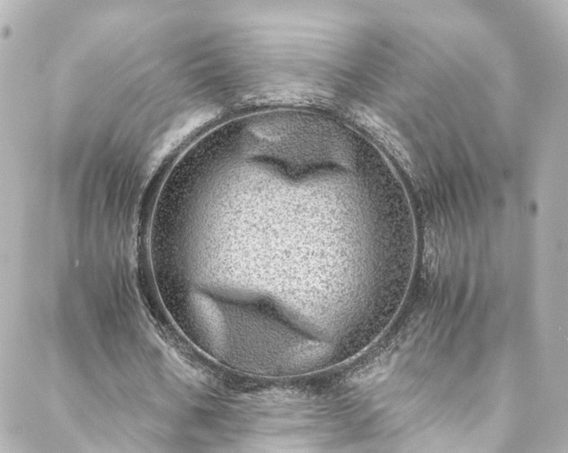 X0000088440578200705291610