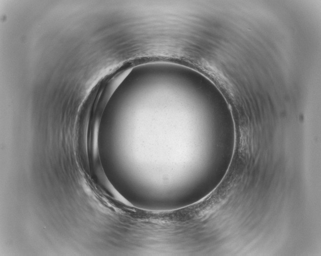X0000088440580200705291610