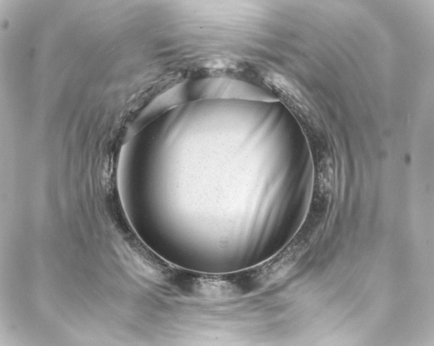 X0000088440605200705291609