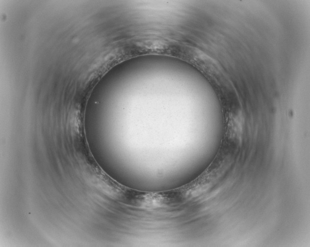 X0000088440612200705291609