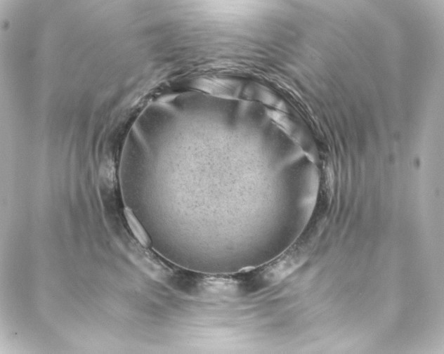X0000088440617200705291609