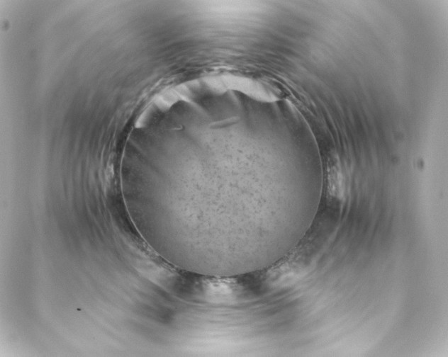 X0000088440618200705291609