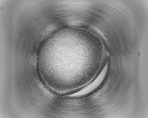 X0000088440637200705291608