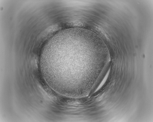 X0000088440643200705291609