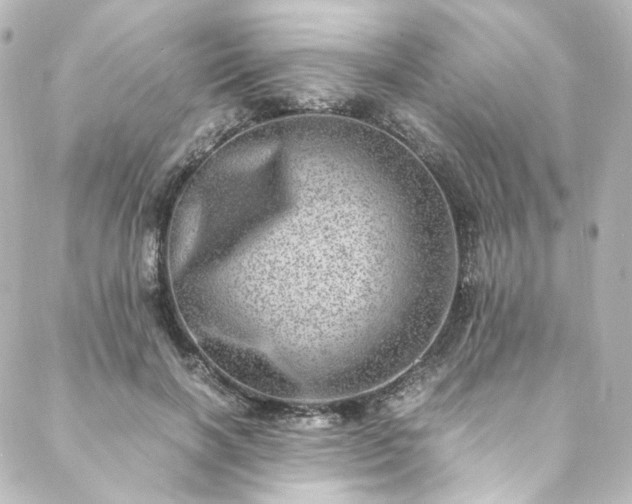 X0000088440646200705291609