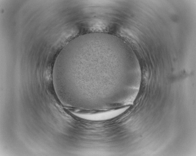 X0000088440665200705291609