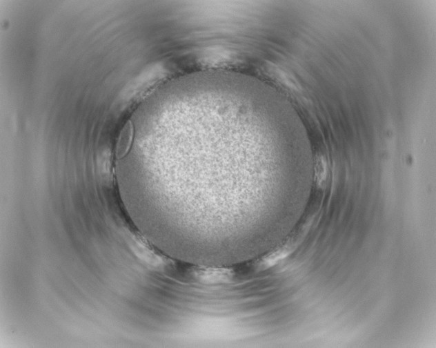 X0000088440670200705291609