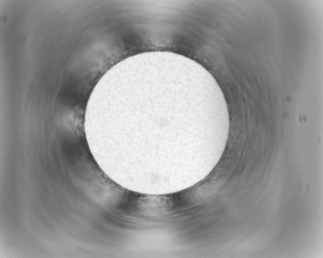 X0000088440672200705291609