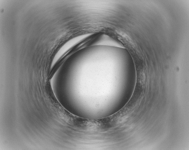X0000088440697200705291608