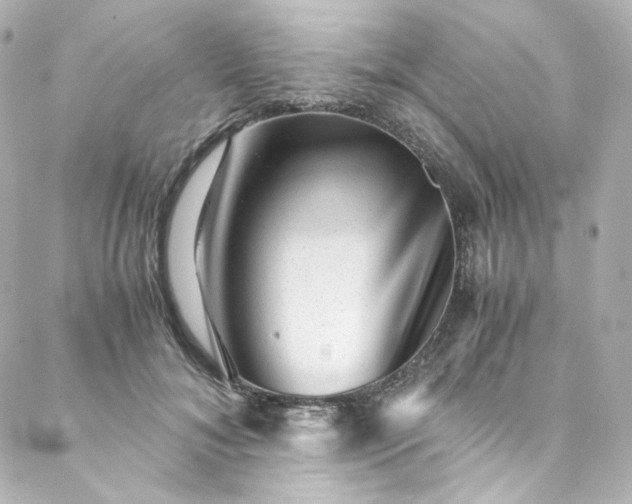 X0000088440700200705291608
