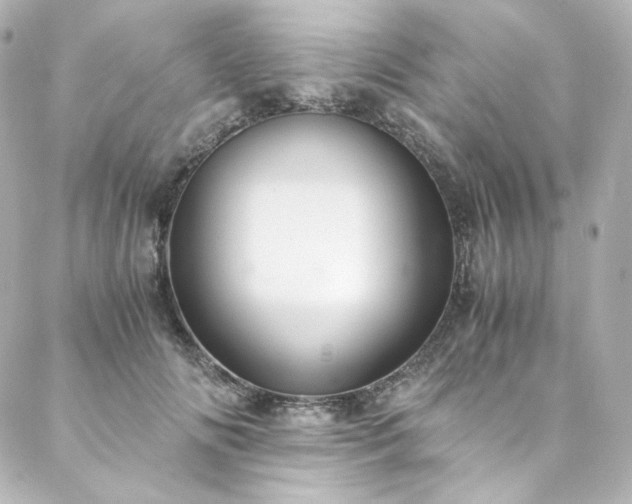 X0000088440702200705291608