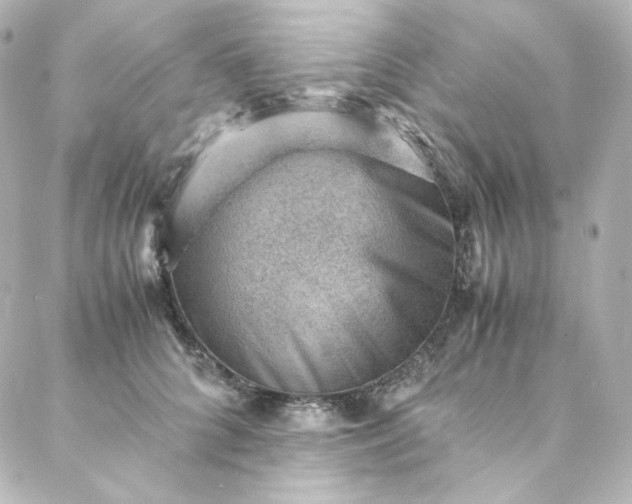 X0000088440704200705291608