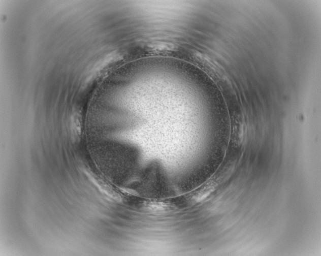 X0000088440710200705291608