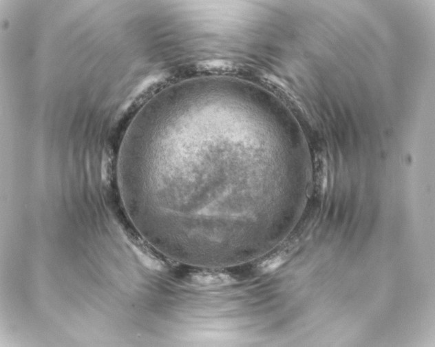 X0000088440712200705291608