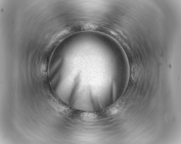 X0000088440714200705291608