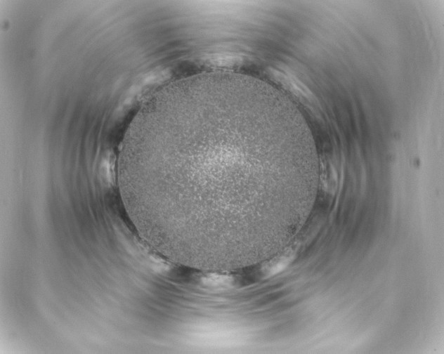 X0000088440718200705291607