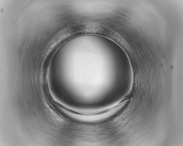X0000088440722200705291607