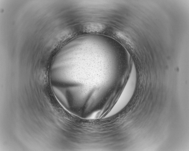 X0000088440743200705291607