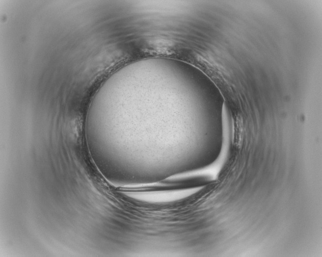 X0000088440747200705291607
