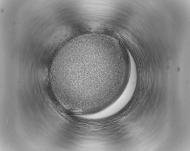 X0000088440748200705291607