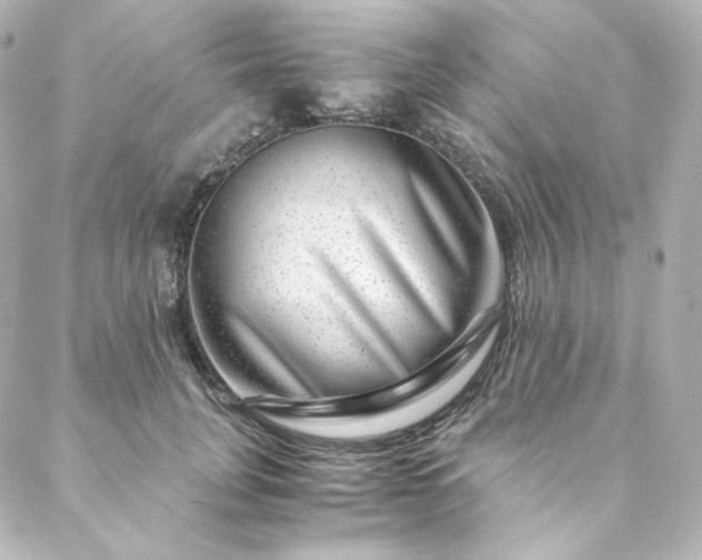 X0000088440751200705291607