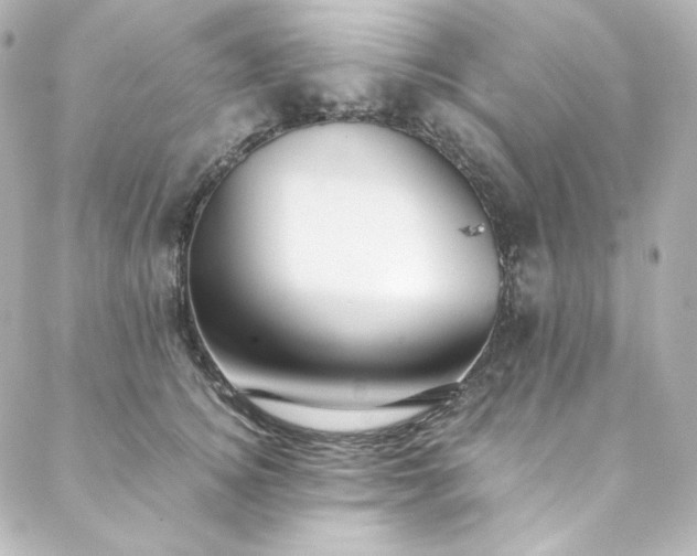 X0000088440756200705291607