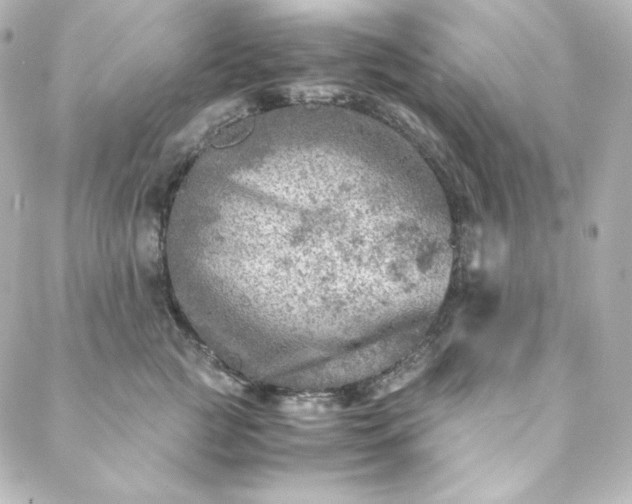 X0000088440761200705291607