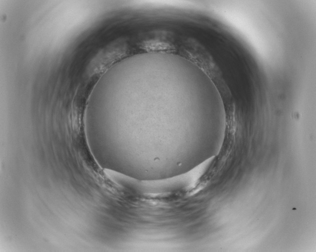 X0000088440763200705291607