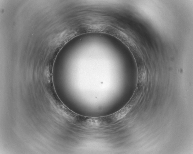 X0000088440764200705291607