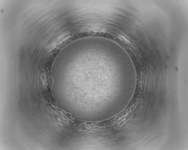 X0000088440774200705291607