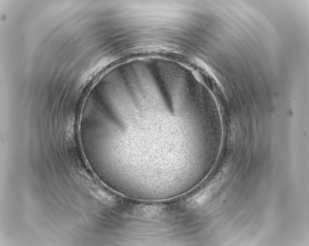 X0000088440778200705291607