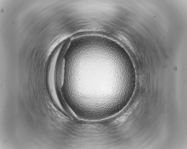 X0000088440781200705291606