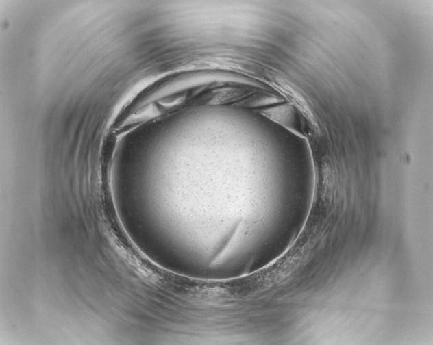 X0000088440784200705291606