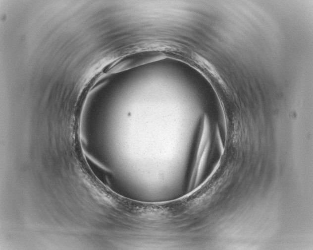 X0000088440786200705291606