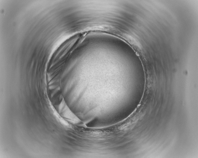 X0000088440792200705291606