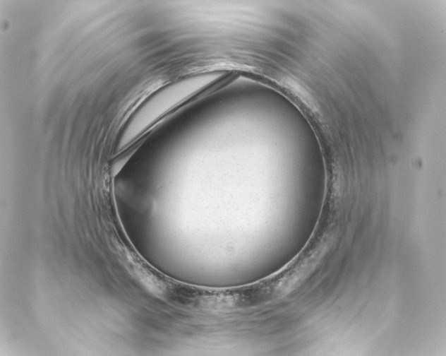 X0000088440793200705291606