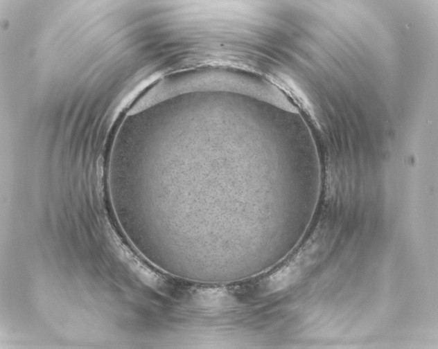 X0000088440798200705291606